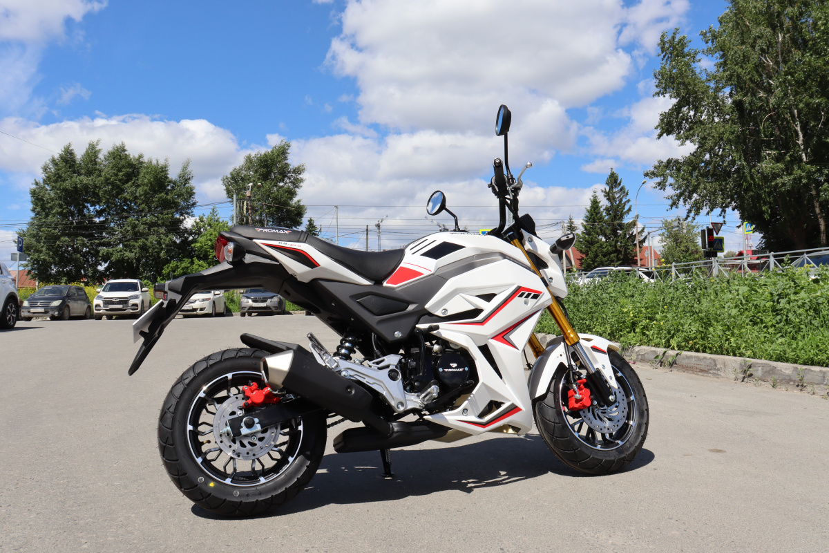 Мотоцикл PROMAX STRYKER 200(49) 2.0 в Благовещенске