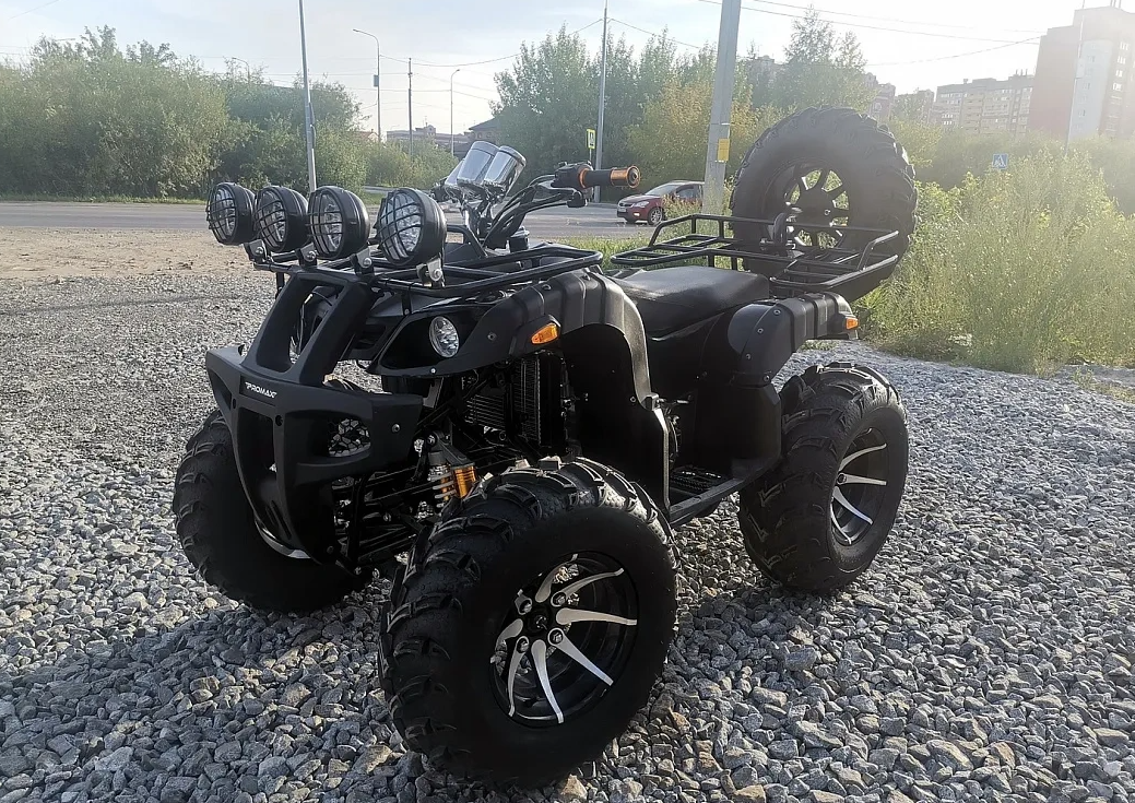 Квадроцикл PROMAX LEO 300 Max (кардан) в Благовещенске