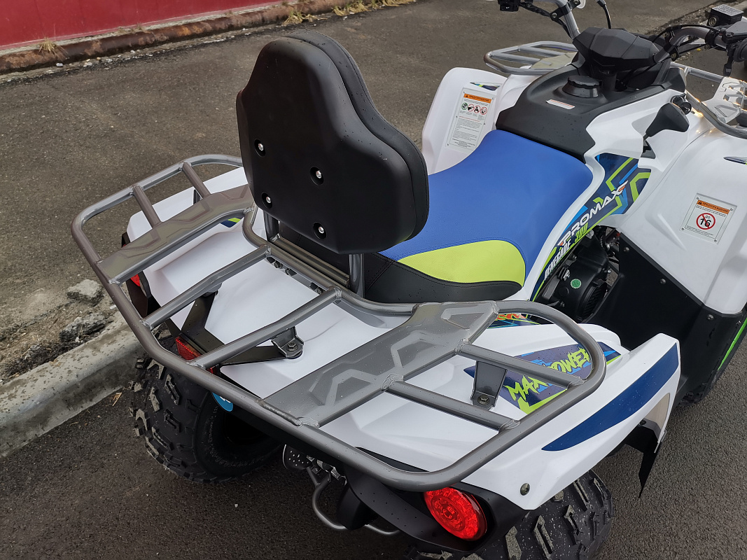 Квадроцикл PROMAX RENEGADE 280 LUX в Благовещенске