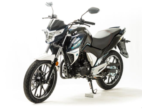 Мотоцикл MOTOLAND (МОТОЛЕНД) FIGHTER 250 в Благовещенске