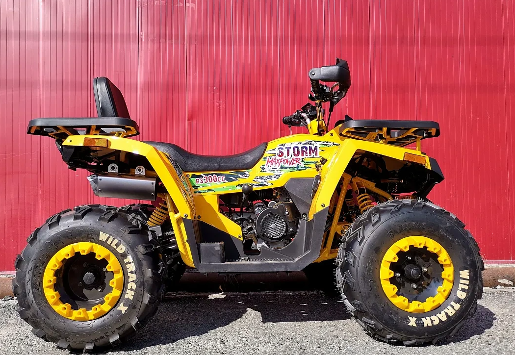 Квадроцикл PROMAX STORM 280 LUX в Благовещенске