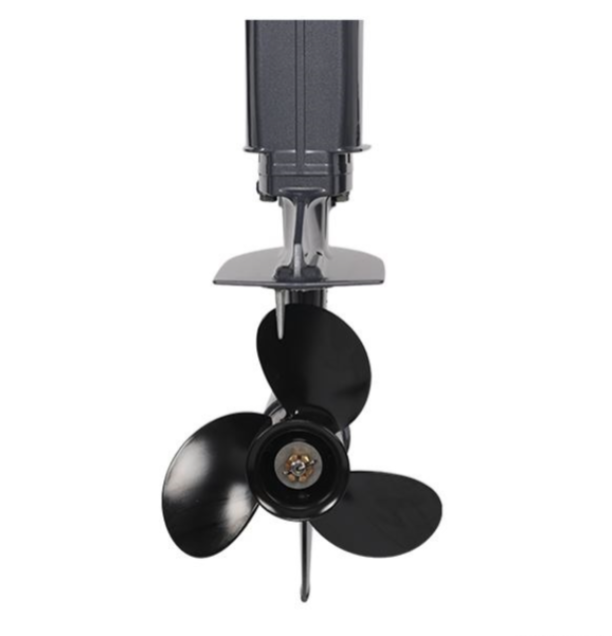 Лодочный мотор ALLFA CG Т40FW S в Благовещенске