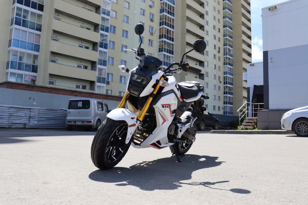 Мотоцикл PROMAX STRYKER 200(49) 2.0 в Благовещенске