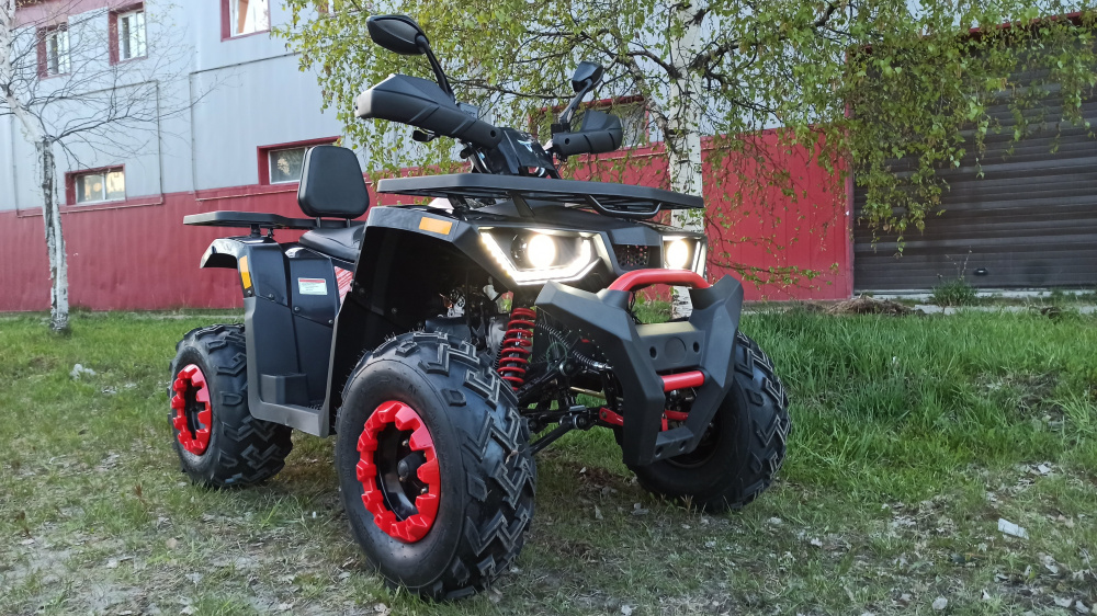 Квадроцикл PROMAX WILD 300 LUX (2024) в Благовещенске