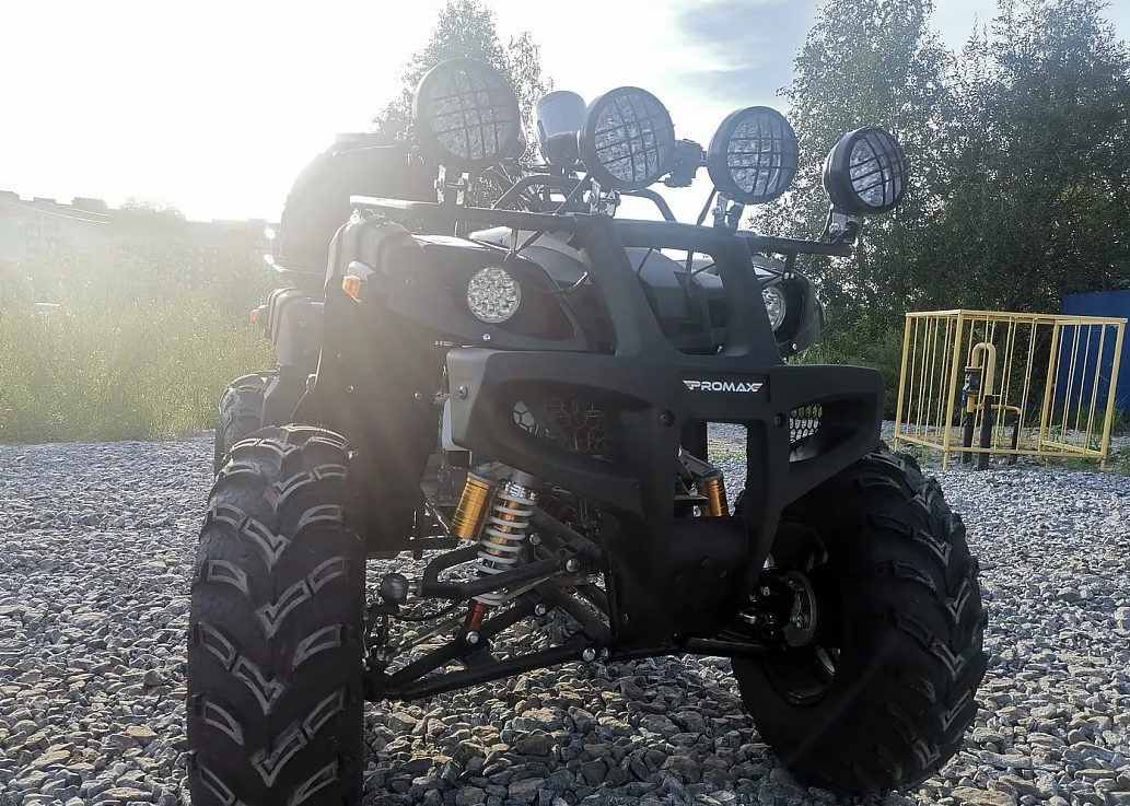 Квадроцикл PROMAX LEO 300 Max (кардан) в Благовещенске