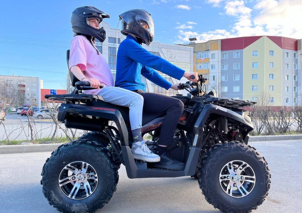 Квадроцикл PROMAX RENEGADE 300 LONG WINCH PRO в Благовещенске