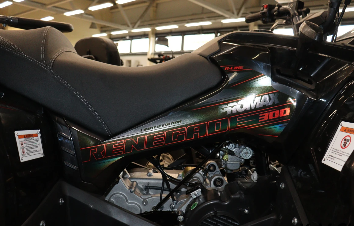 Квадроцикл PROMAX RENEGADE 300 LONG WINCH PRO в Благовещенске