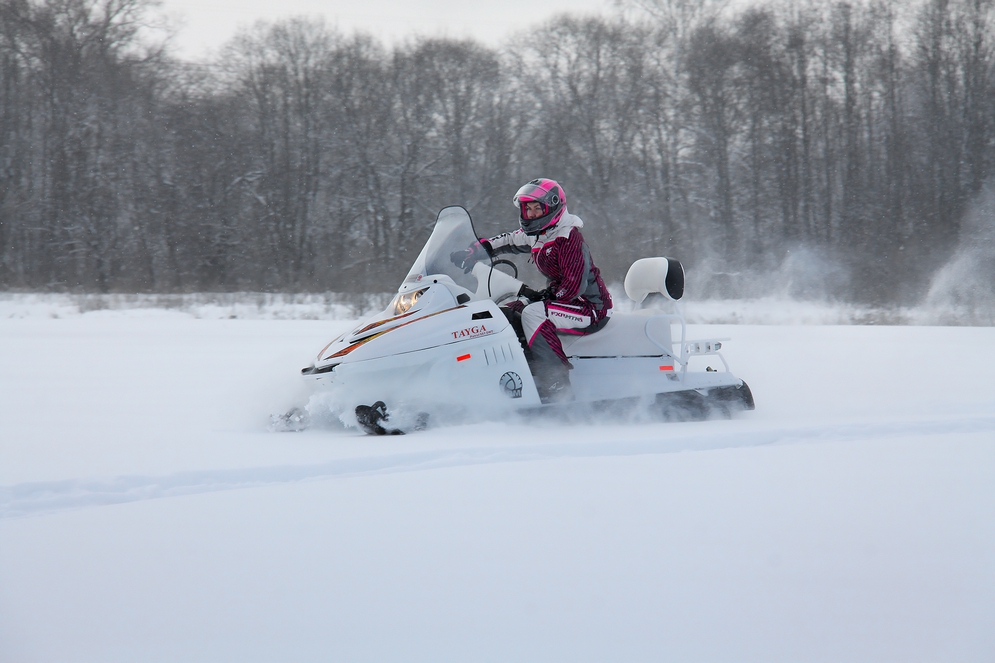 Снегоход Русская механика РМ TAYGA PATRUL 551 SWT в Благовещенске