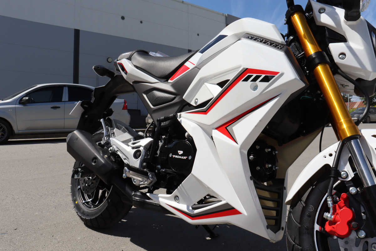 Мотоцикл PROMAX STRYKER 200(49) 2.0 в Благовещенске