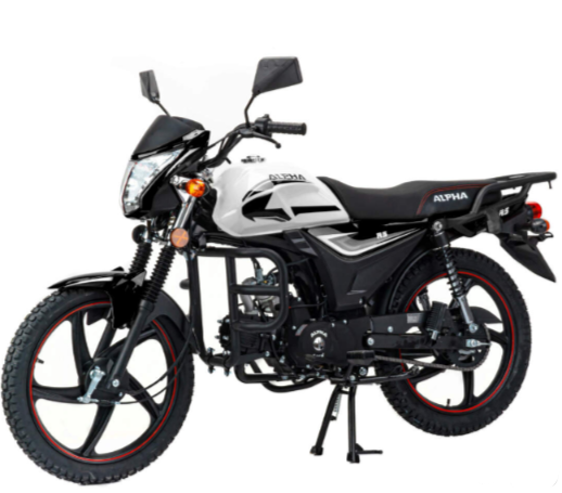 Мопед MOTOLAND (МОТОЛЕНД) Альфа RS 11 (LM48-B) в Благовещенске