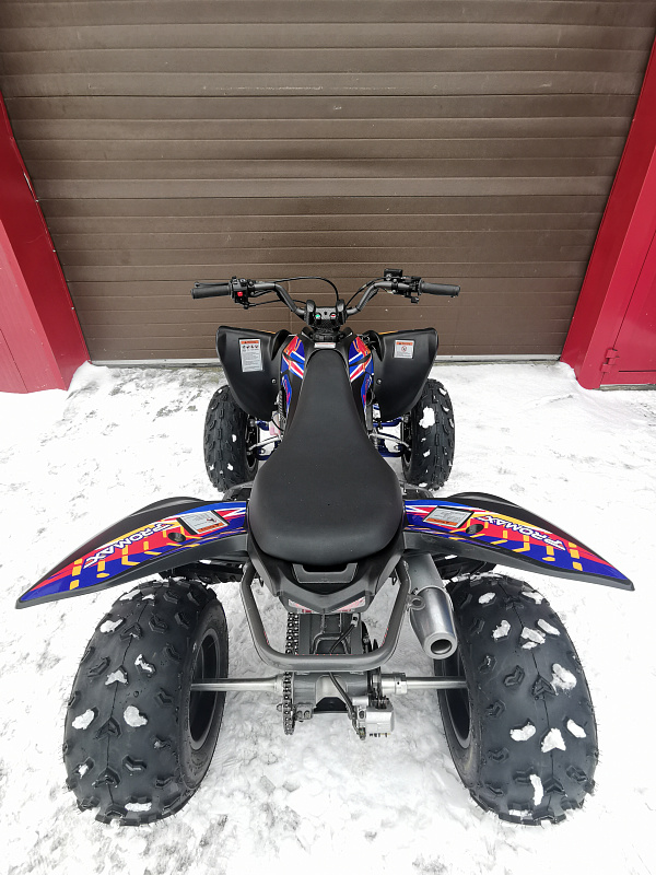 Квадроцикл PROMAX RAPTOR 300 NEW RedBull в Благовещенске