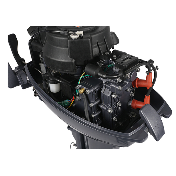 ЛОДОЧНЫЙ МОТОР ALLFA CG Т9,9 в Благовещенске