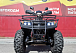 Квадроцикл PROMAX TRX300 CVT в Благовещенске