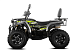 Квадроцикл GBM CROSS HILL 320 BIG PREMIUM в Благовещенске