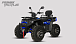Квадроцикл PROMAX TAURUS 300 MAX-PRO LONG в Благовещенске