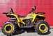 Квадроцикл PROMAX STORM 280 LUX в Благовещенске