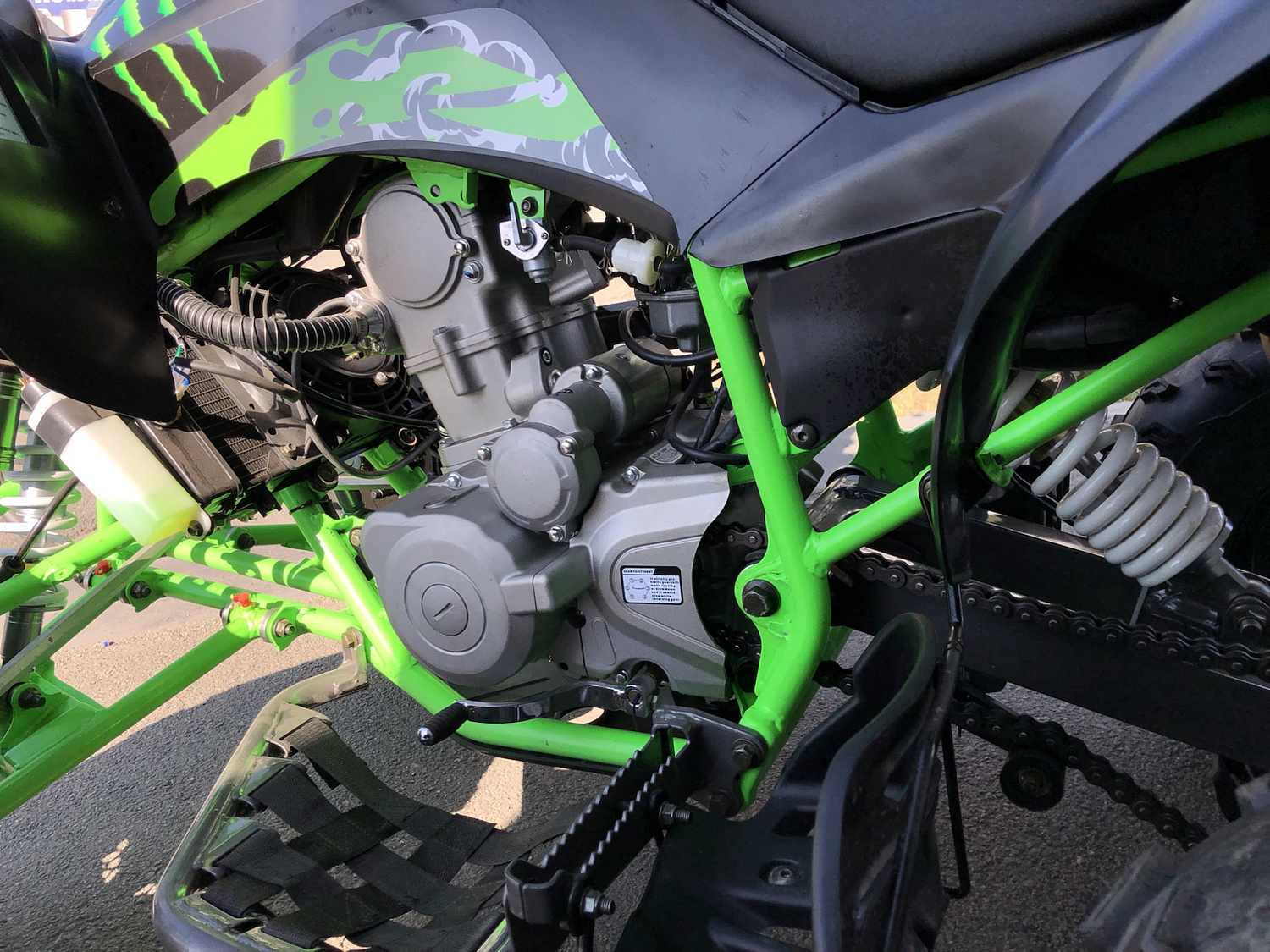 Квадроцикл PROMAX RAPTOR 300 NEW Monster в Благовещенске