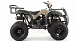 Квадроцикл MOTOLAND (МОТОЛЕНД) 200 ALL ROAD в Благовещенске