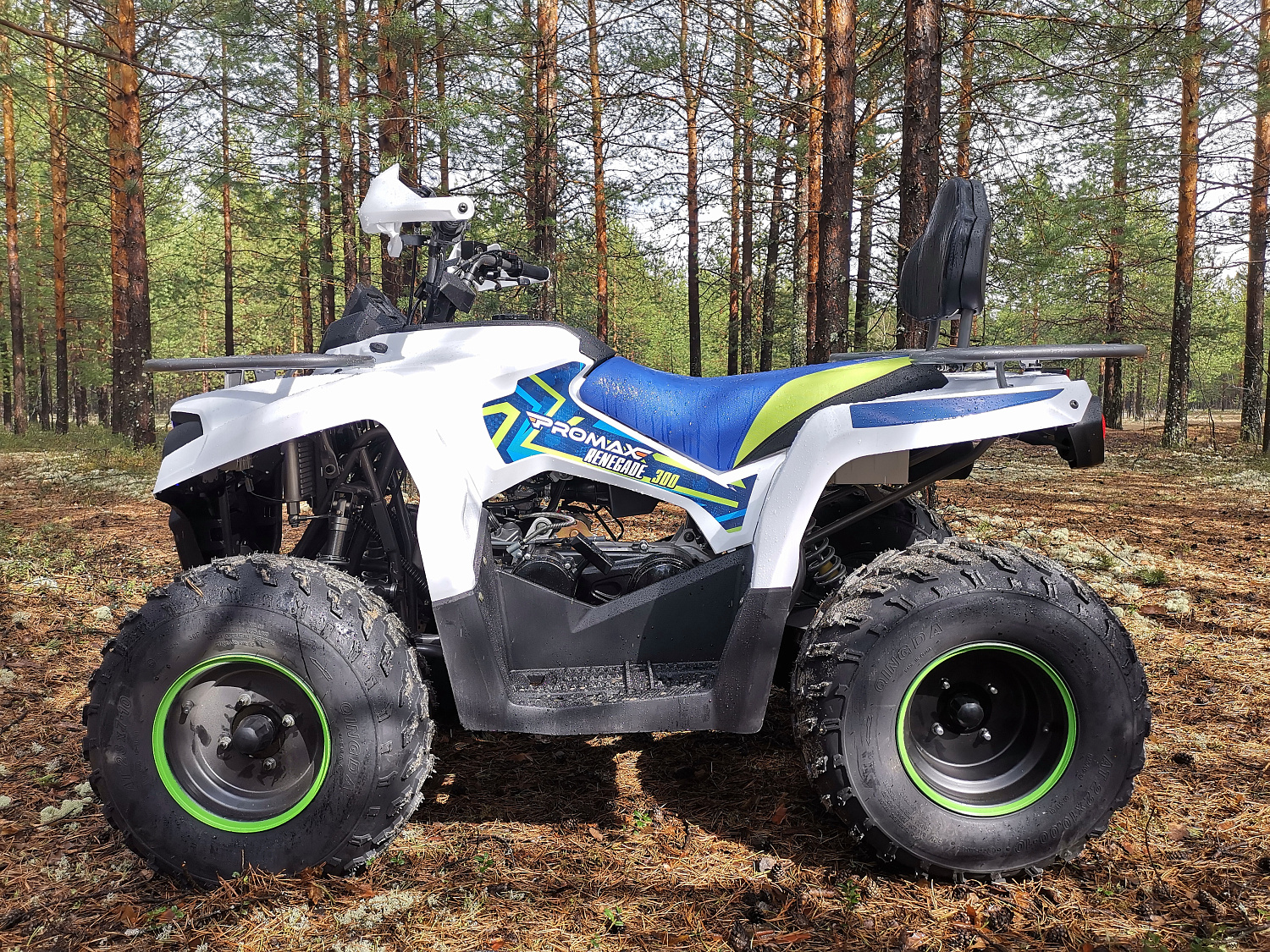 Квадроцикл PROMAX RENEGADE 280 в Благовещенске