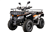Квадроцикл YACOTA CABO 200 в Благовещенске