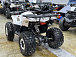 Квадроцикл PROMAX WILD 2.0 190 LUX в Благовещенске