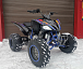 Квадроцикл PROMAX RAPTOR 300 NEW RedBull в Благовещенске