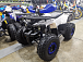 Квадроцикл PROMAX WILD 175 LUX в Благовещенске