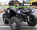Квадроцикл PROMAX RENEGADE 280 WINCH PRO в Благовещенске