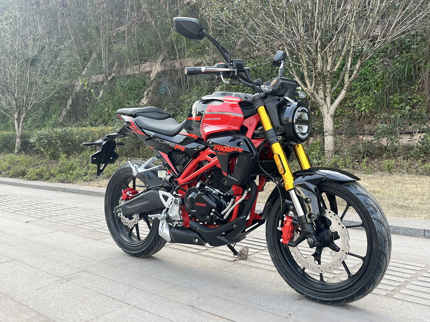 Мотоцикл PROMAX CB300 в Благовещенске