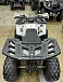 Квадроцикл PROMAX WILD 2.0 190 в Благовещенске