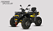 Квадроцикл PROMAX TAURUS 300 MAX-PRO LONG в Благовещенске